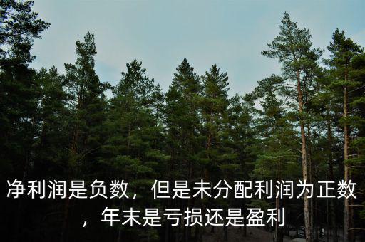 凈利潤是負(fù)數(shù)，但是未分配利潤為正數(shù)，年末是虧損還是盈利