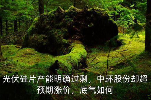 光伏硅片產(chǎn)能明確過剩，中環(huán)股份卻超預期漲價，底氣如何