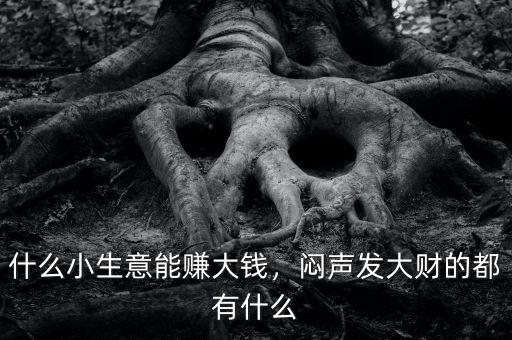 什么小生意能賺大錢，悶聲發(fā)大財?shù)亩加惺裁? class=