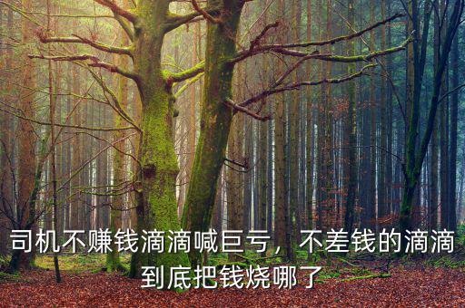 司機不賺錢滴滴喊巨虧，不差錢的滴滴到底把錢燒哪了