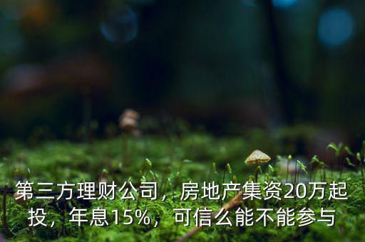 第三方理財(cái)公司，房地產(chǎn)集資20萬起投，年息15%，可信么能不能參與