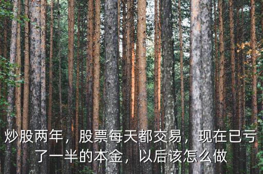 炒股兩年，股票每天都交易，現(xiàn)在已虧了一半的本金，以后該怎么做