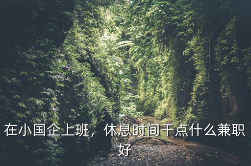 在小國企上班，休息時(shí)間干點(diǎn)什么兼職好