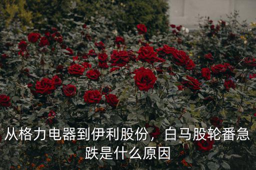 從格力電器到伊利股份，白馬股輪番急跌是什么原因