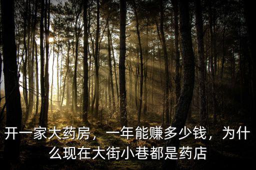 開一家大藥房，一年能賺多少錢，為什么現(xiàn)在大街小巷都是藥店