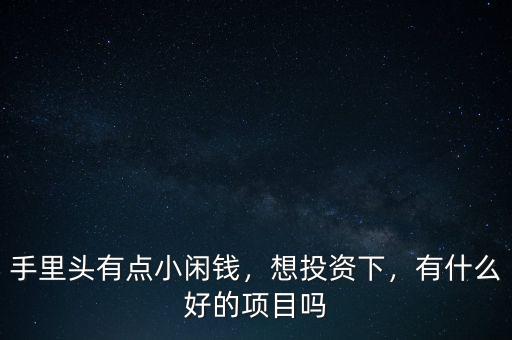 手里頭有點小閑錢，想投資下，有什么好的項目嗎