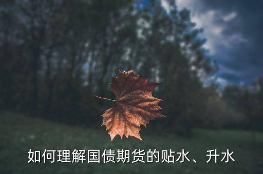 如何理解國債期貨的貼水、升水
