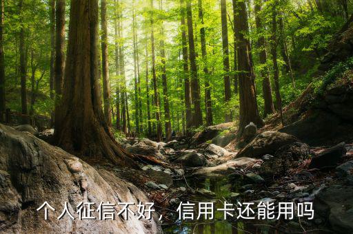 個(gè)人征信不好，信用卡還能用嗎