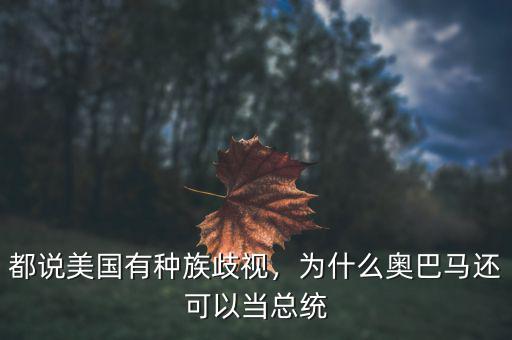 都說(shuō)美國(guó)有種族歧視，為什么奧巴馬還可以當(dāng)總統(tǒng)