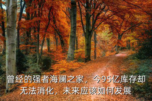曾經(jīng)的強(qiáng)者海瀾之家，今95億庫(kù)存卻無(wú)法消化，未來(lái)應(yīng)該如何發(fā)展