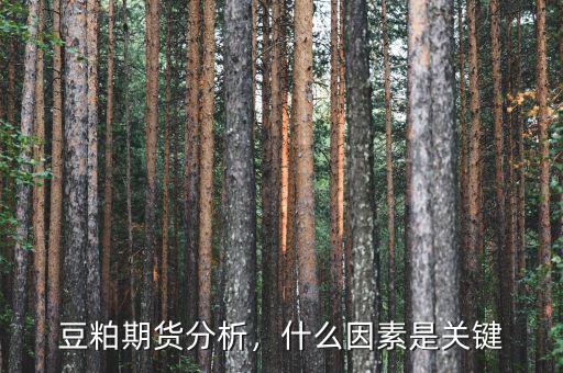 豆粕期貨分析，什么因素是關(guān)鍵