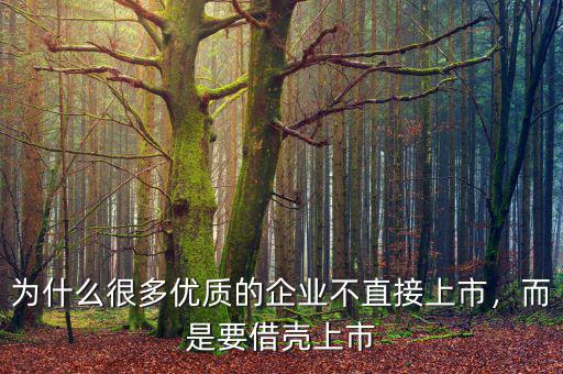 為什么很多優(yōu)質(zhì)的企業(yè)不直接上市，而是要借殼上市