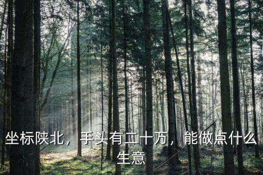 坐標(biāo)陜北，手頭有二十萬，能做點(diǎn)什么生意