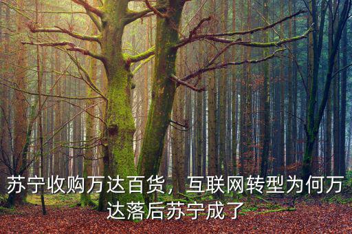 蘇寧收購(gòu)萬(wàn)達(dá)百貨，互聯(lián)網(wǎng)轉(zhuǎn)型為何萬(wàn)達(dá)落后蘇寧成了