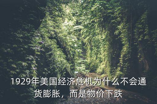 1929年美國(guó)經(jīng)濟(jì)危機(jī)為什么不會(huì)通貨膨脹，而是物價(jià)下跌