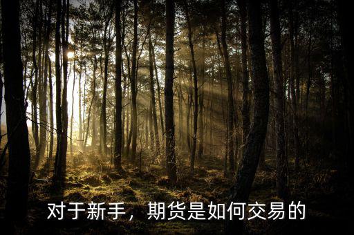 對(duì)于新手，期貨是如何交易的
