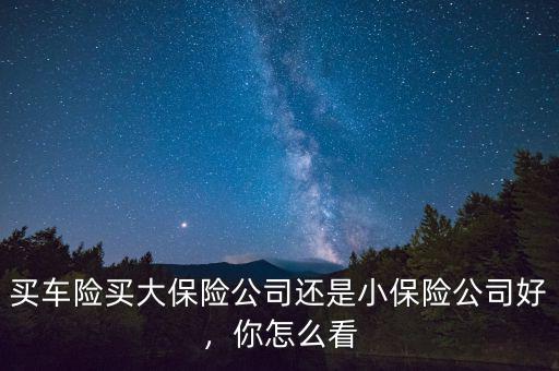 買車險(xiǎn)買大保險(xiǎn)公司還是小保險(xiǎn)公司好，你怎么看