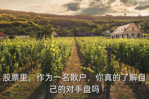 股票里，作為一名散戶，你真的了解自己的對(duì)手盤嗎