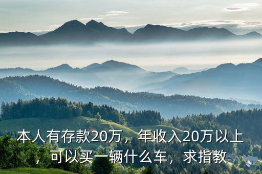 本人有存款20萬(wàn)，年收入20萬(wàn)以上，可以買一輛什么車，求指教