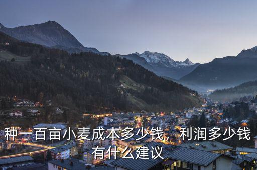 種一百畝小麥成本多少錢，利潤多少錢有什么建議