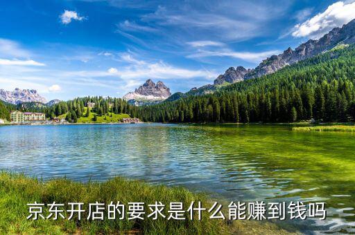 京東開(kāi)店的要求是什么能賺到錢嗎