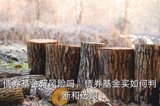 債券基金有風(fēng)險(xiǎn)嗎，債券基金買(mǎi)如何判斷和選購(gòu)