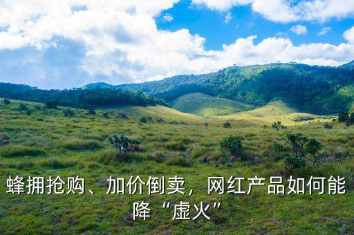 蜂擁搶購、加價倒賣，網紅產品如何能降“虛火”