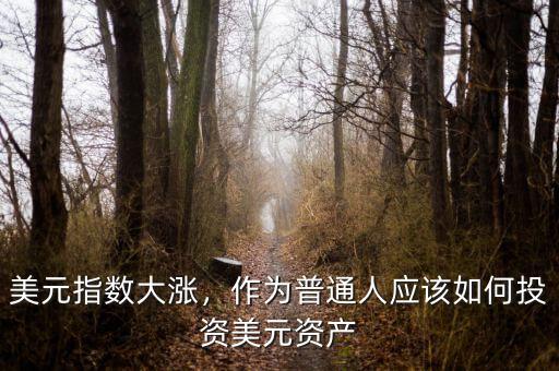 美元指數(shù)大漲，作為普通人應(yīng)該如何投資美元資產(chǎn)
