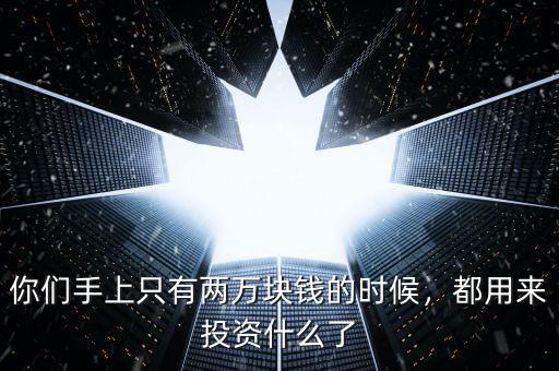 你們手上只有兩萬(wàn)塊錢(qián)的時(shí)候，都用來(lái)投資什么了