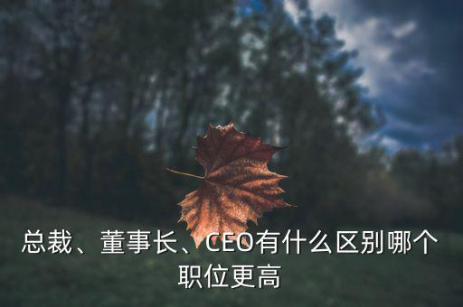 總裁、董事長(zhǎng)、CEO有什么區(qū)別哪個(gè)職位更高