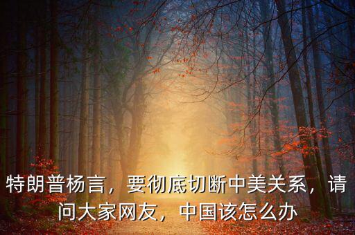 特朗普楊言，要徹底切斷中美關(guān)系，請問大家網(wǎng)友，中國該怎么辦