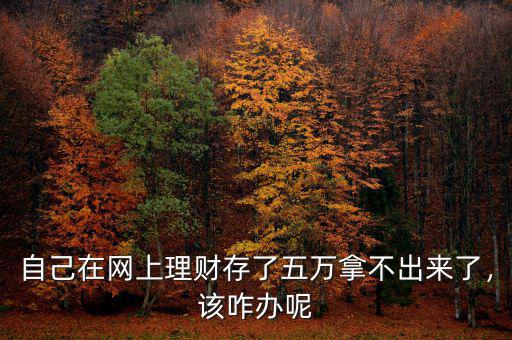 自己在網(wǎng)上理財存了五萬拿不出來了，該咋辦呢