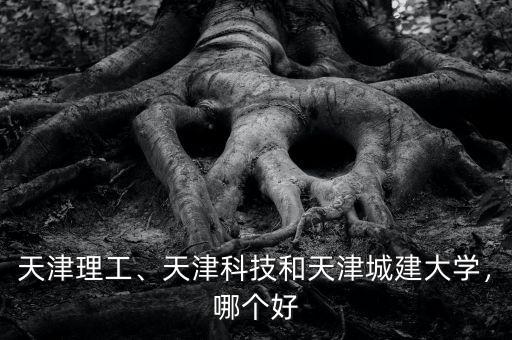 天津理工、天津科技和天津城建大學，哪個好