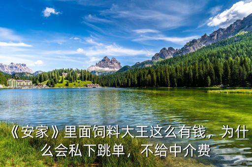 《安家》里面飼料大王這么有錢，為什么會私下跳單，不給中介費(fèi)