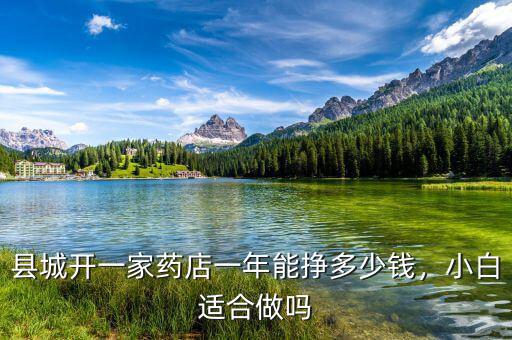 縣城開一家藥店一年能掙多少錢，小白適合做嗎
