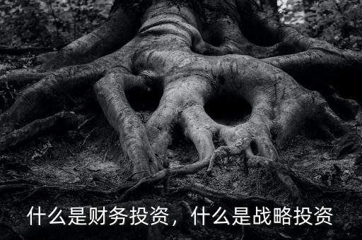 什么是財務投資，什么是戰(zhàn)略投資