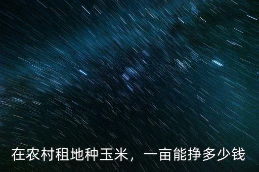 在農(nóng)村租地種玉米，一畝能掙多少錢