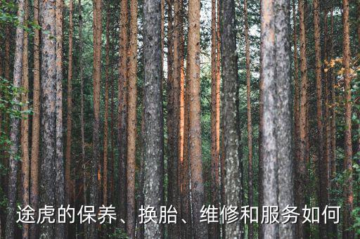 途虎的保養(yǎng)、換胎、維修和服務(wù)如何