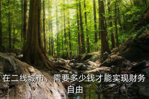 在二線城市，需要多少錢才能實現(xiàn)財務自由