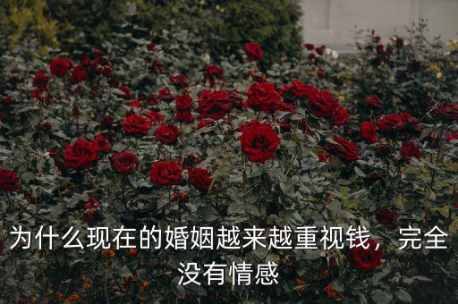為什么現(xiàn)在的婚姻越來越重視錢，完全沒有情感