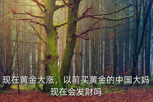 現(xiàn)在黃金大漲，以前買黃金的中國大媽現(xiàn)在會發(fā)財嗎