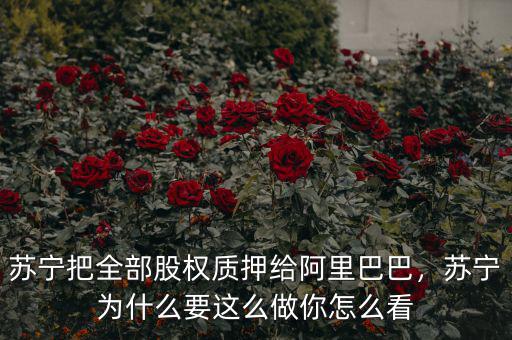 蘇寧把全部股權質押給阿里巴巴，蘇寧為什么要這么做你怎么看
