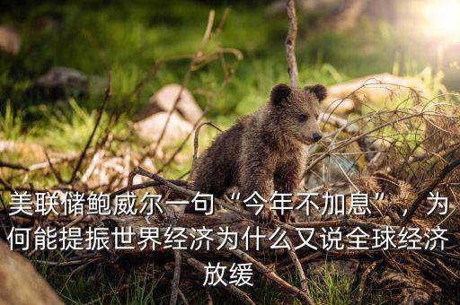 美聯(lián)儲鮑威爾一句“今年不加息”，為何能提振世界經(jīng)濟(jì)為什么又說全球經(jīng)濟(jì)放緩