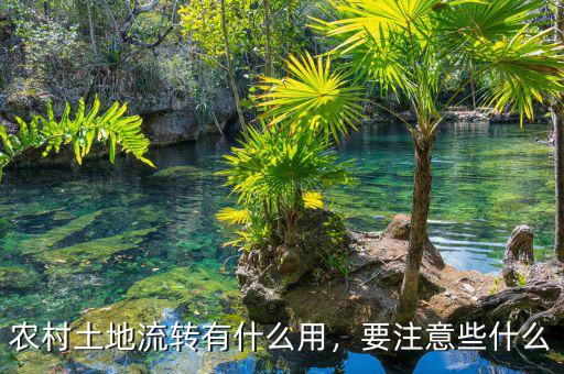 農(nóng)村土地流轉(zhuǎn)有什么用，要注意些什么