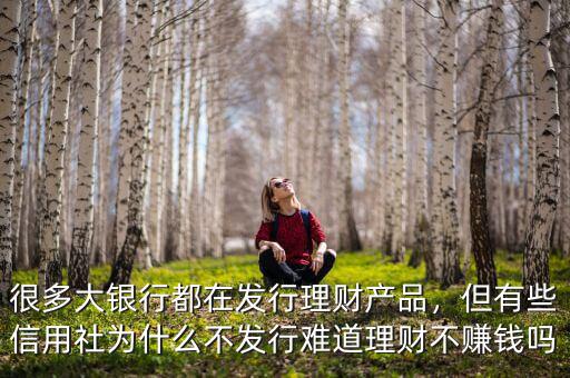 很多大銀行都在發(fā)行理財(cái)產(chǎn)品，但有些信用社為什么不發(fā)行難道理財(cái)不賺錢(qián)嗎