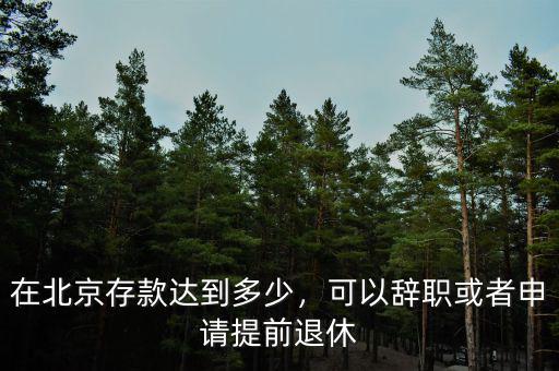 在北京存款達到多少，可以辭職或者申請?zhí)崆巴诵? class=