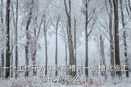 一個工作干兩年就跳槽，一跳槽就漲工資，你怎么看