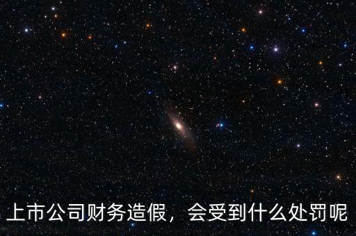 上市公司財務(wù)造假，會受到什么處罰呢