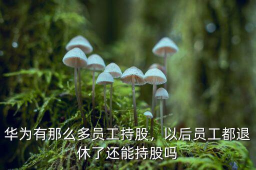 華為有那么多員工持股，以后員工都退休了還能持股嗎