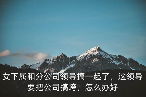 女下屬和分公司領(lǐng)導(dǎo)搞一起了，這領(lǐng)導(dǎo)要把公司搞垮，怎么辦好